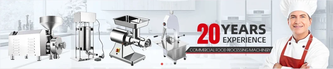 Household 200W Electric Appliance Meat Processor Meat Mincer Commercial Meat Grinder Sausage Maker Stainless Steel